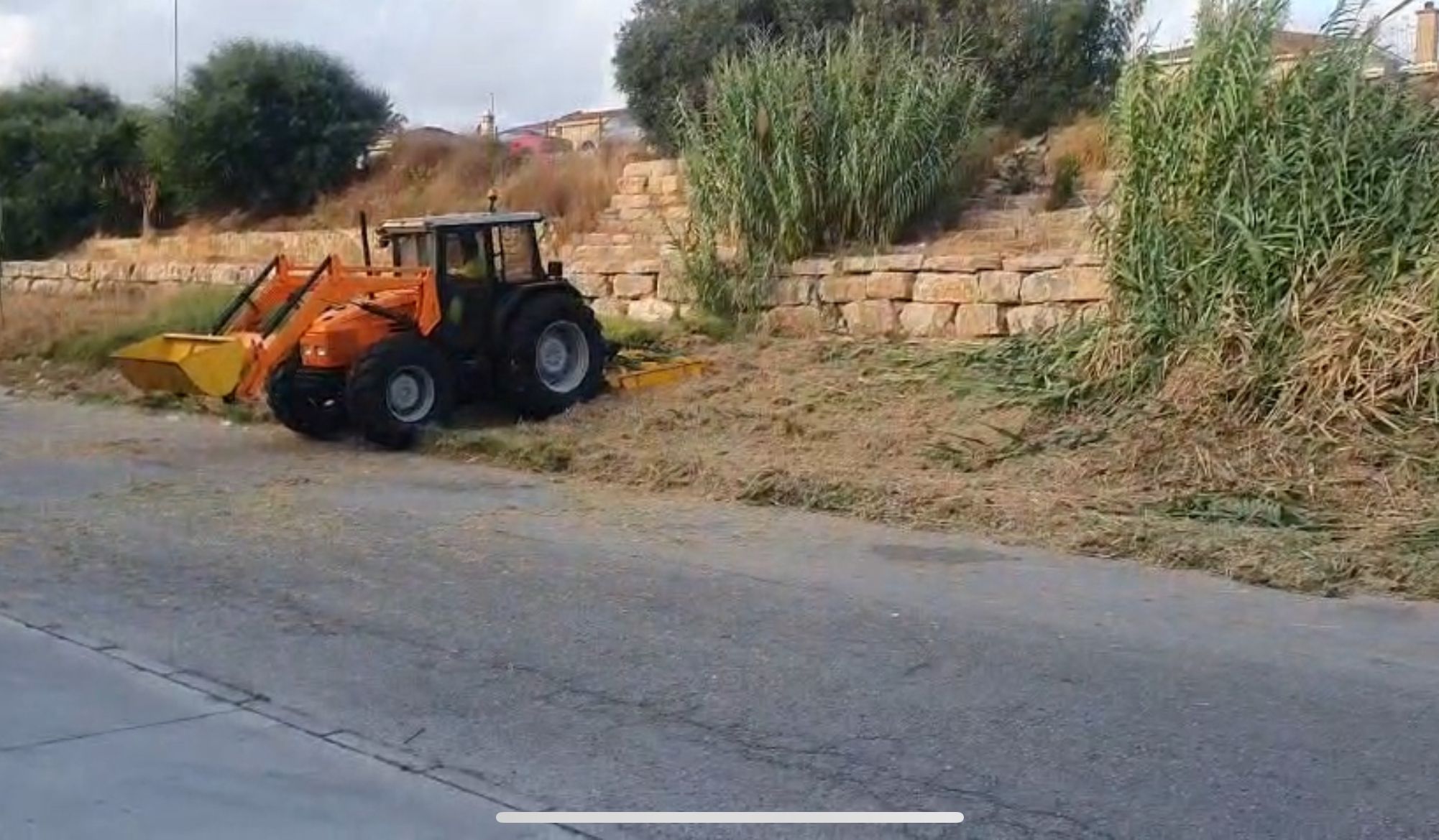 trabajos de desbroce