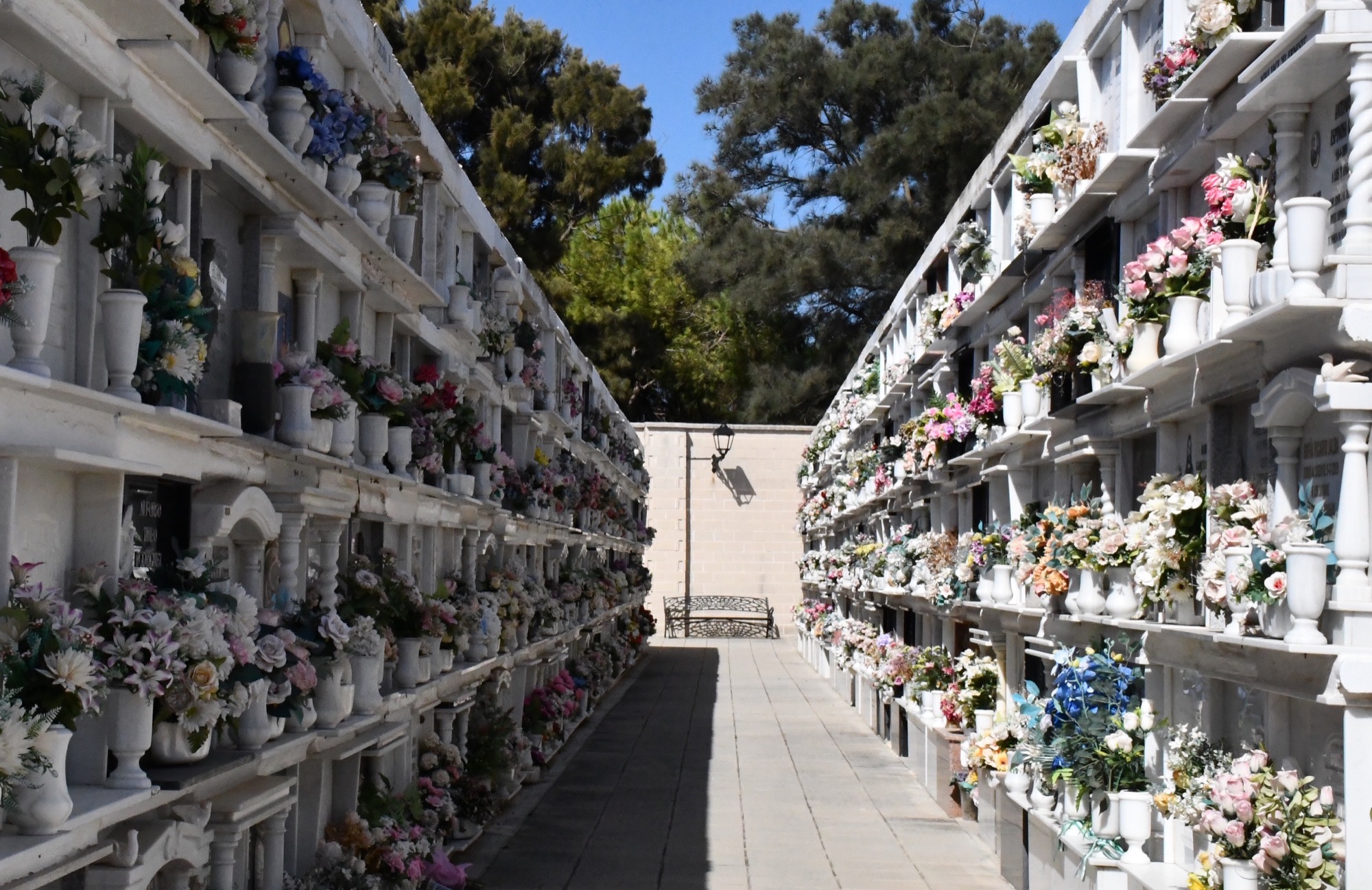 cementerio San Miguel