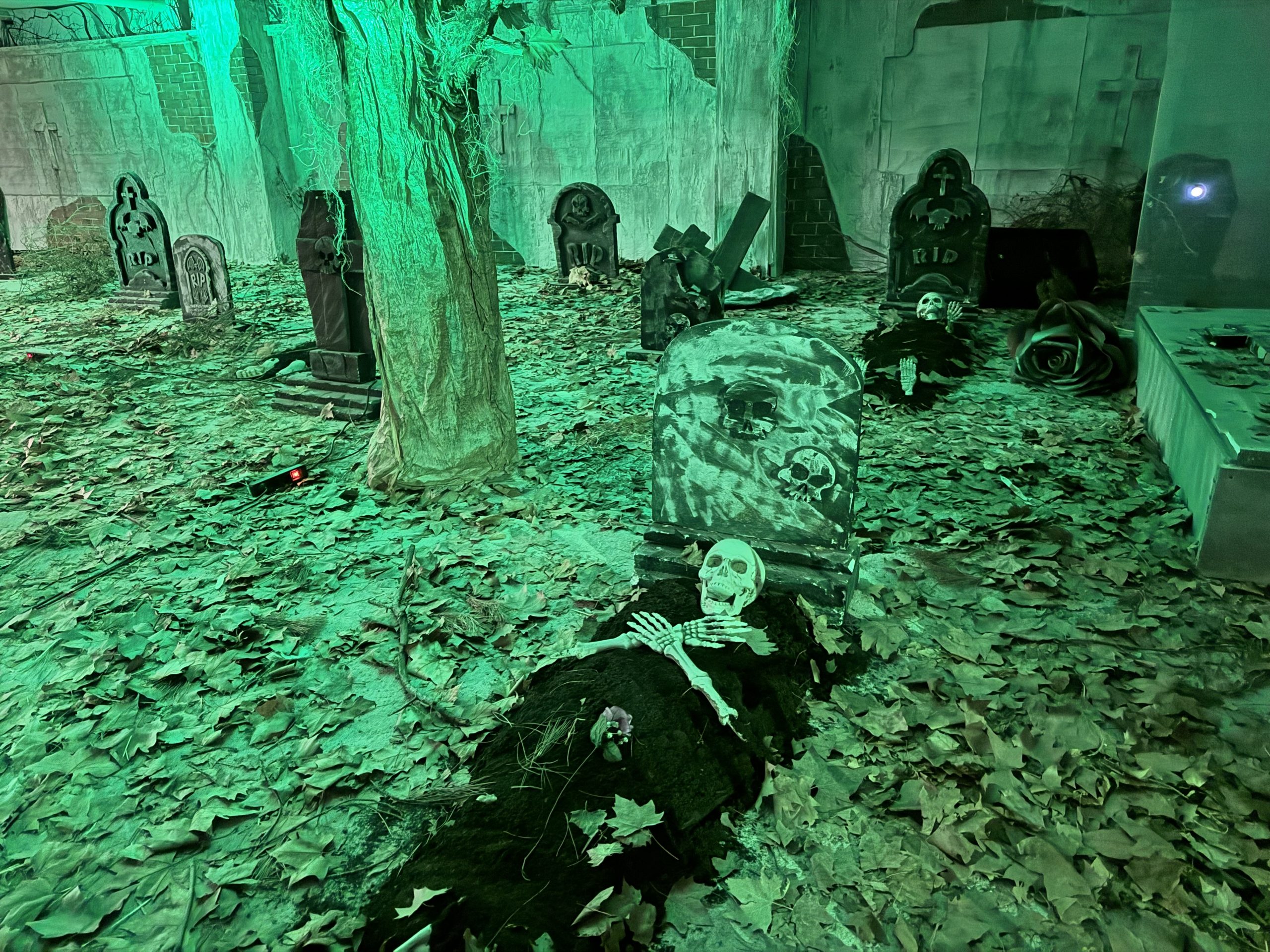 Pasaje del terror San Roque: abre “La Casa Maldita”