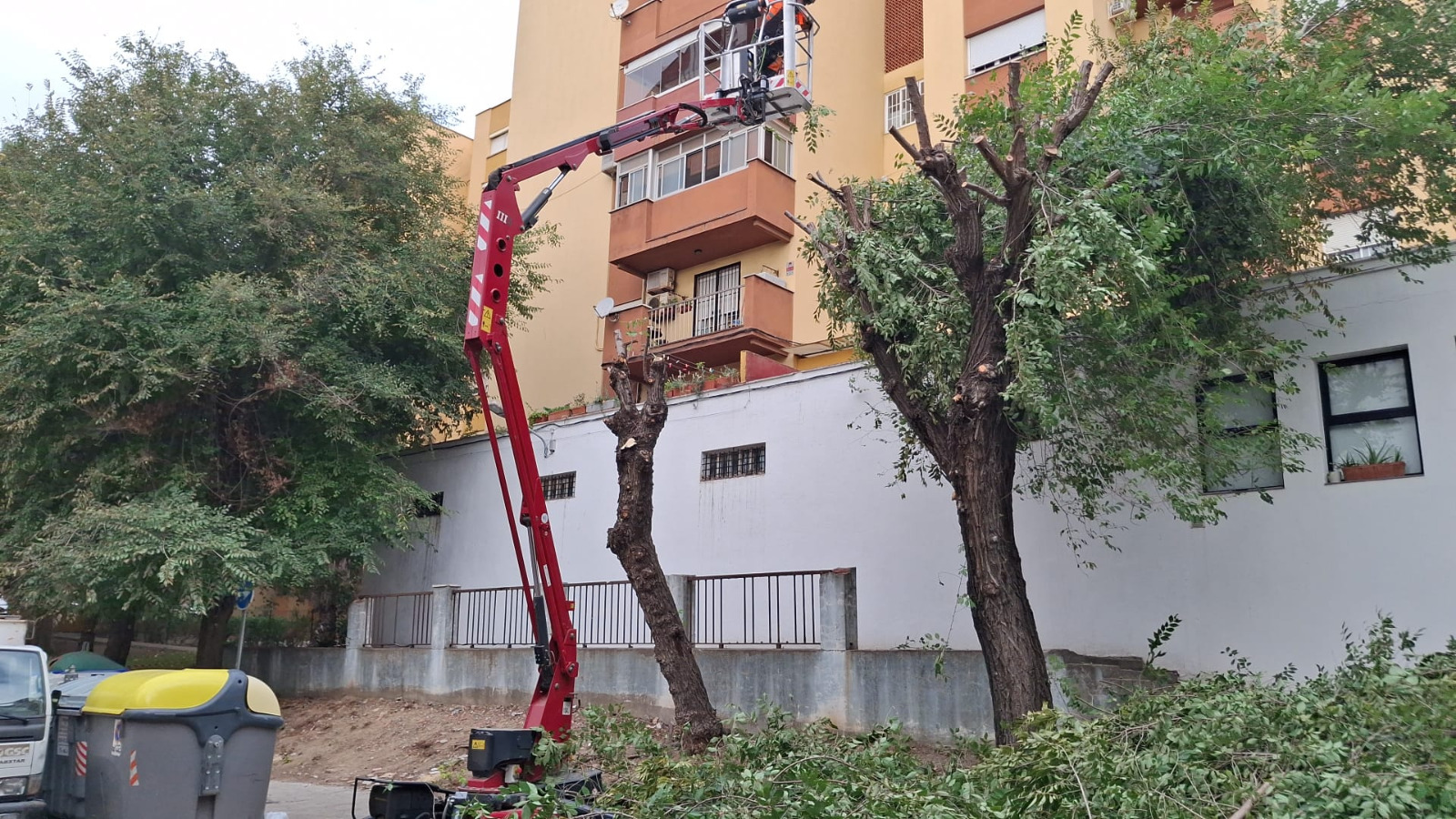 parques y jardines algeciras