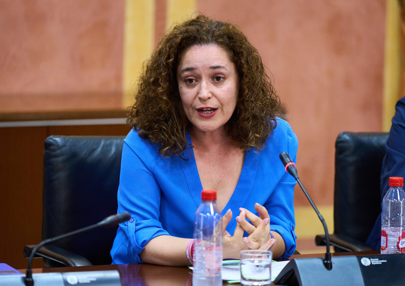 A-381: IU critica a la Junta por un parcheo, no obra