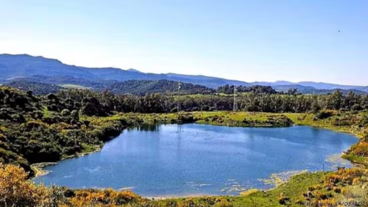 Humedales Andalucía: cinco nuevas zonas al inventario