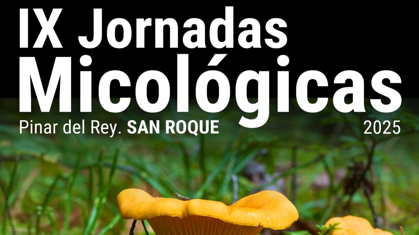 El teniente de alcalde Juan Serván presenta las IX Jornadas Micológicas del Pinar del Rey, un programa para todas las edades con salidas al bosque, degustación en la Alameda Alfonso XI y una jornada de campo el 30 de noviembre