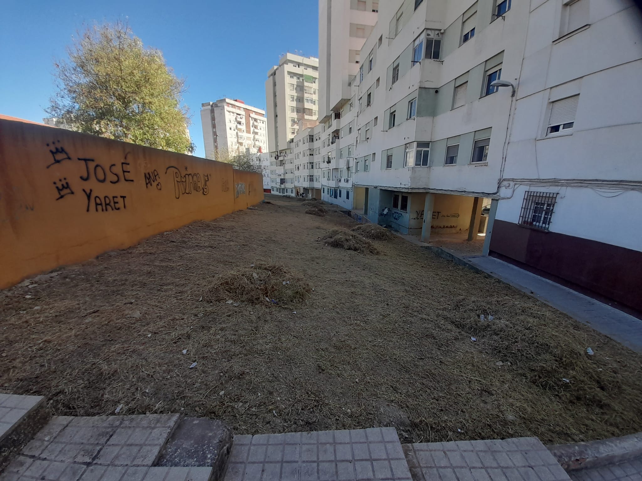 Limpieza Algeciras intensifica tareas de desbroce urbano
