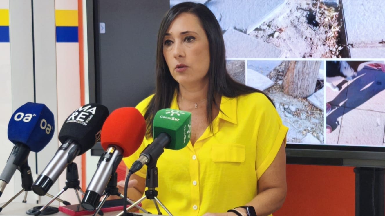 Plan de Accesibilidad Algeciras: crítica del PSOE